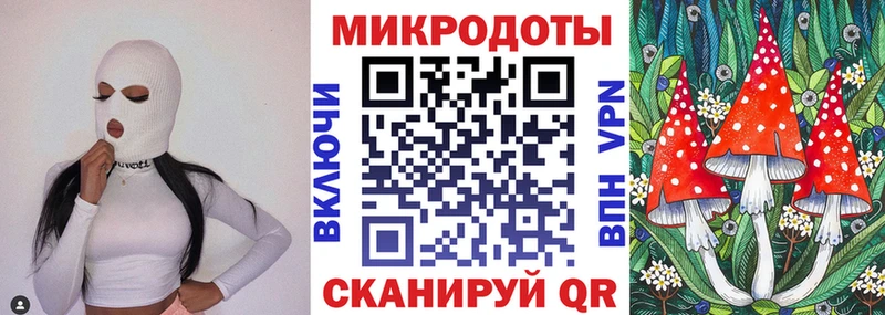 купить закладку Бирюсинск blacksprut ТОР Псилоцибиновые грибы Psilocybine cubensis