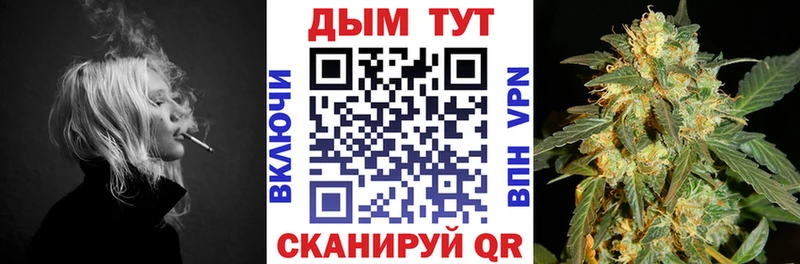 где купить наркоту  Бирюсинск  Каннабис White Widow 